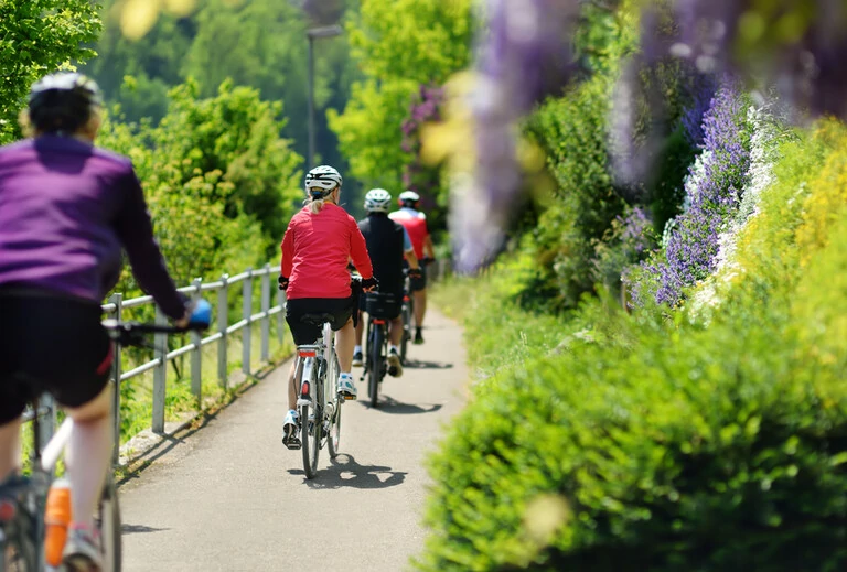 Sportlicher Mann mittleren Alters, der an heißen Sommertagen im sonnigen Park radelt. Schöner Sport für Aktive. Gesunder Lebensstil. Schweiz, Europa