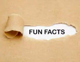 Fun Facts braunes Papier