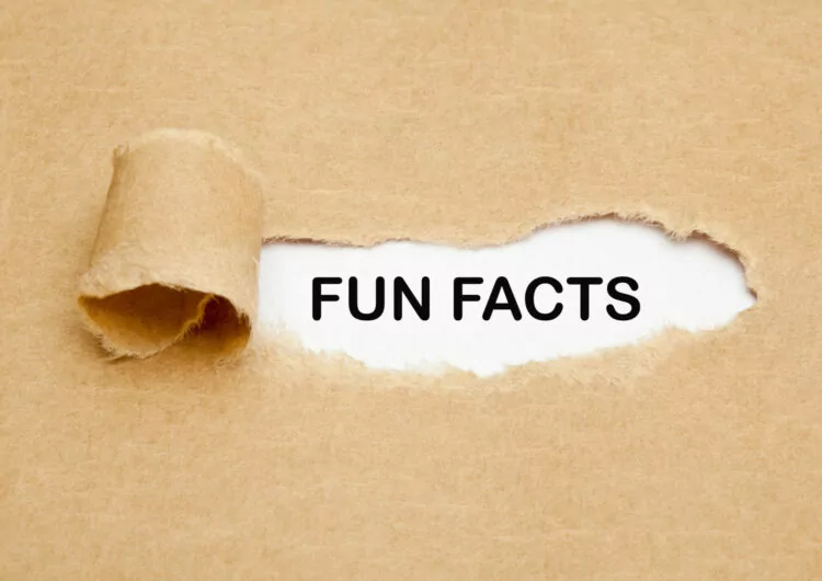 Fun Facts braunes Papier