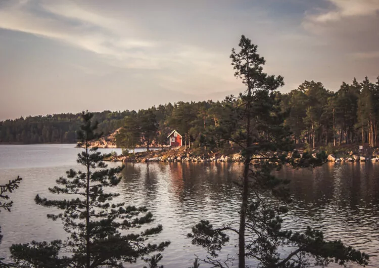 lake and Swedish block house