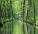 Urlaubsregion Spreewald mit Hund