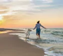 Urlaubsregion Ostsee mit Hund