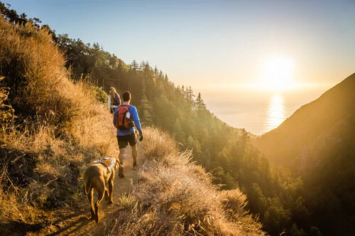 Wandern mit Hund im Harz