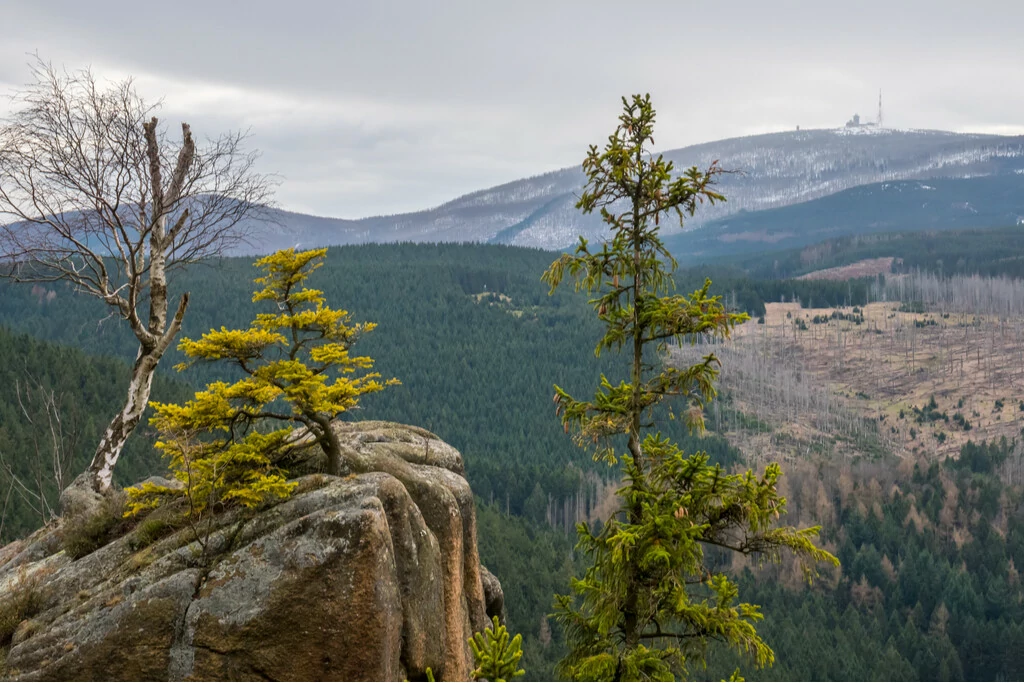 Ausblick vom Brocken im Harz