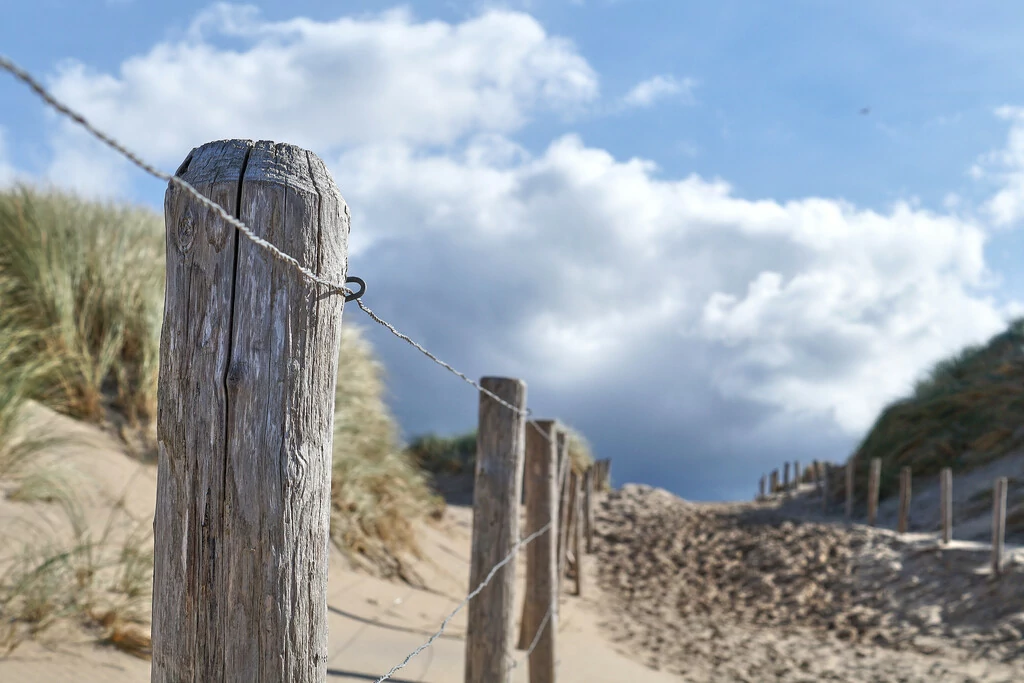 Holzstapel in den Dünen