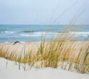 Ostsee Strand Blick auf das Wasser