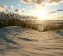 Ausblick auf Dünen am Strand