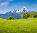 Ausblick auf Alpen und Wiesen