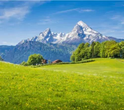 Ausblick auf Alpen und Wiesen