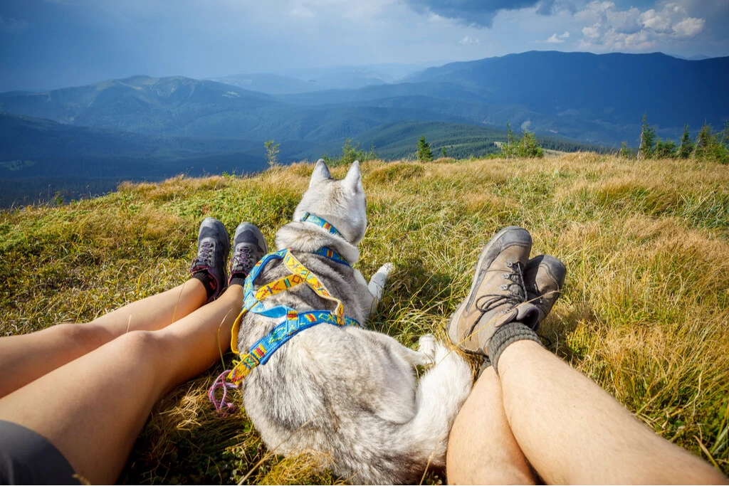 Wanderer beim Ausruhen auf wunderschöner Anhöhe mit Hund