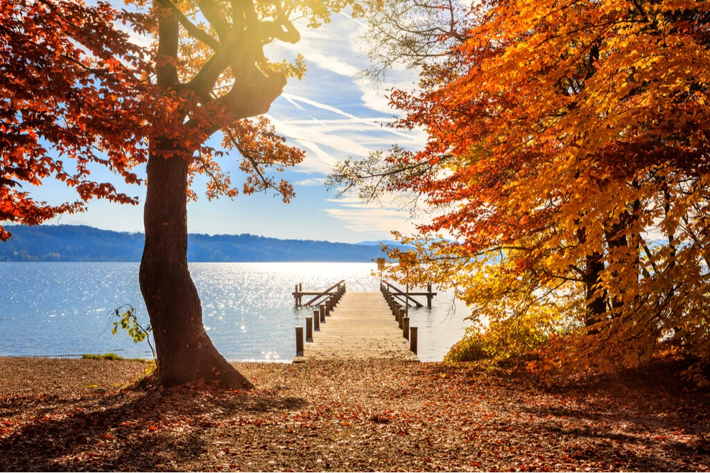 Starnberger See im Herbst