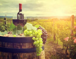 Weingläser auf Fass in Weinbergen umgeben von Rosen und Reben bei Sonnenuntergang