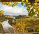 Weinberge in der Eifel mit Blick auf Mosel