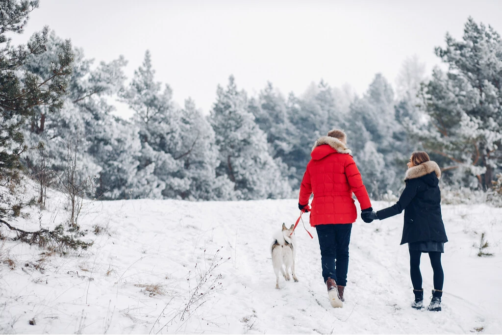 Paar läuft mit Hund im Schnee im Wald