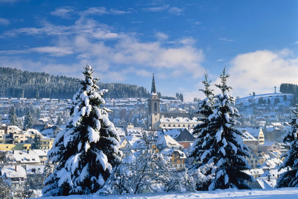 Aussicht auf Titisee-Neustadt im Winter