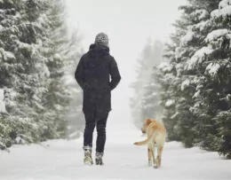 Spazieren mit Hund im Winter