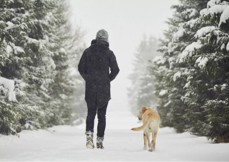 Spazieren mit Hund im Winter