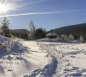 Ausblick im verschneiten Nationalpark Harz