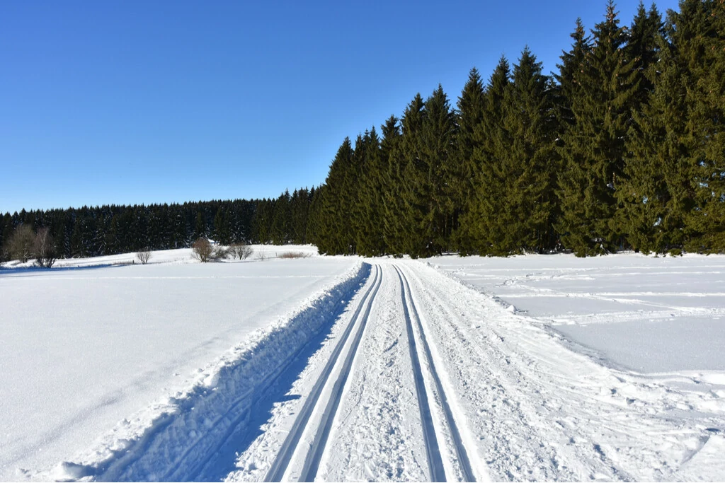 Loipen einer Skilanglauf-Strecke im Harz