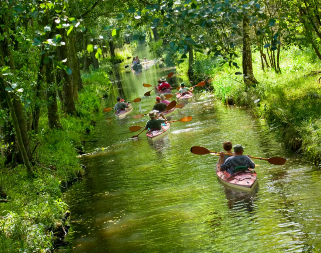 Gruppe paddelt mit Kanu im Spreewald