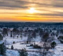 Blick auf die Lüneburger Heide