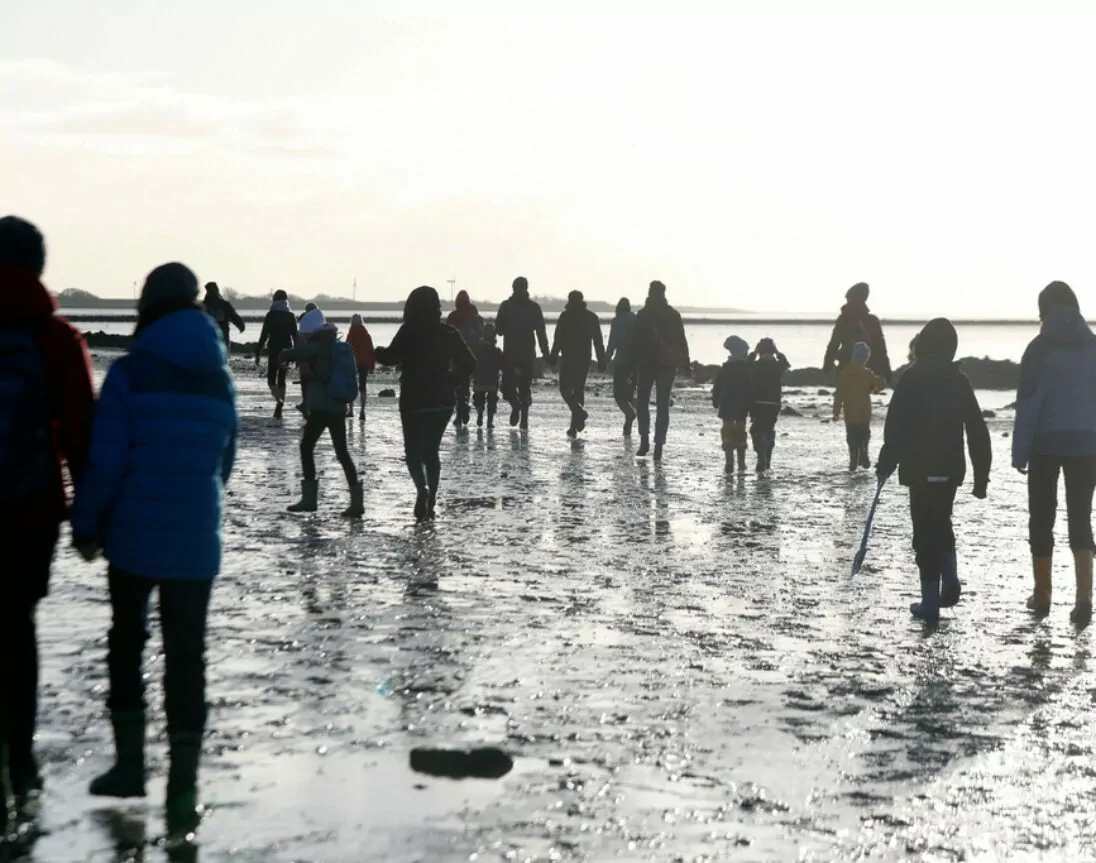 Wattwandern an der Nordsee