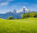 Blick über eine Wiese auf die Alpen