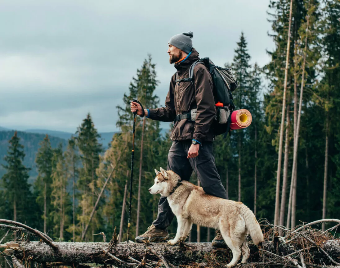 Mann mit Husky wandert im Wald