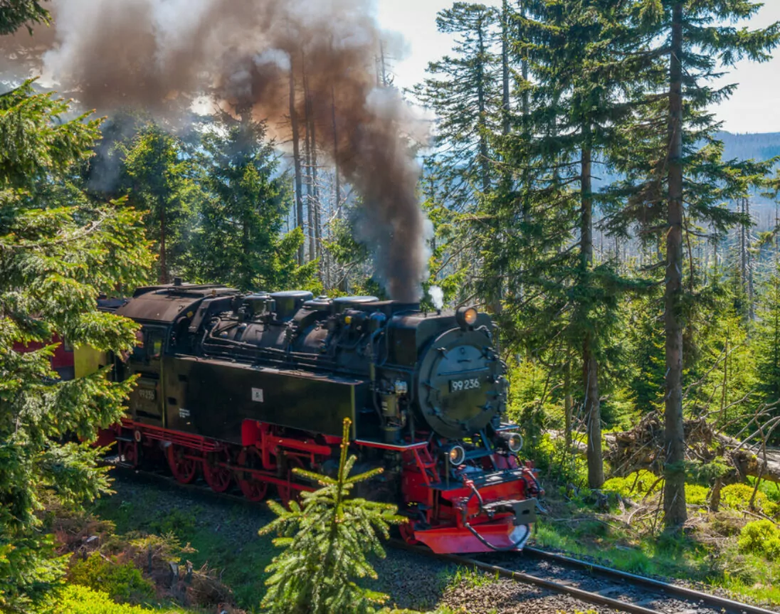 Brockenbahn im Nationalpark Harz