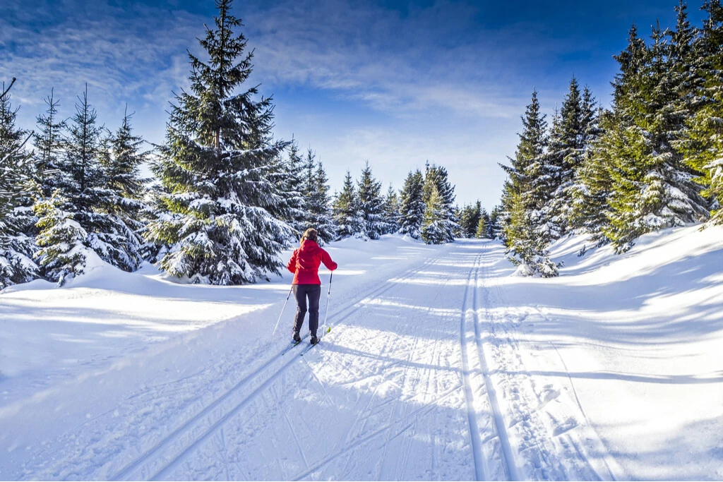 Frau beim Skilanglauf im verschneiten Wald