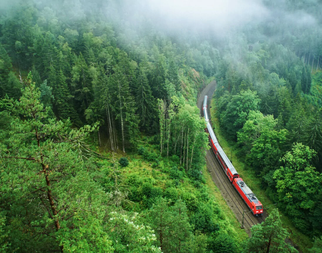 Zug fährt durch den Schwarzwald