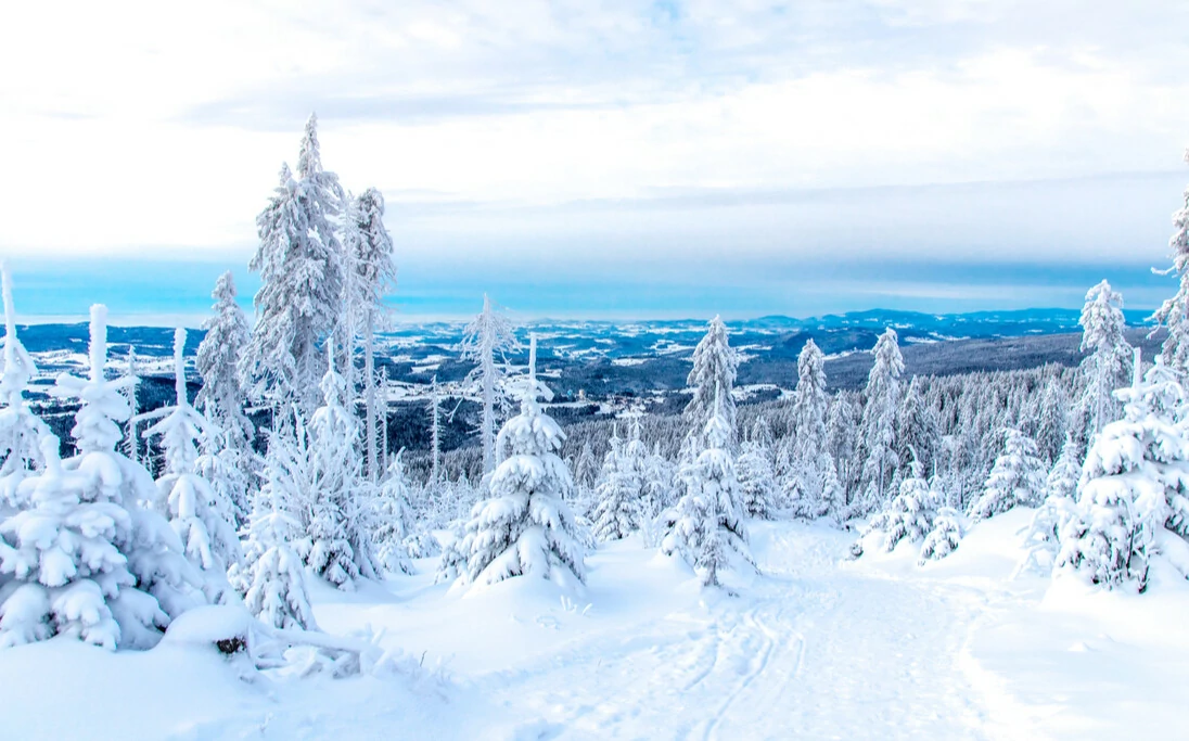 Aussicht über den Bayerischen Wald