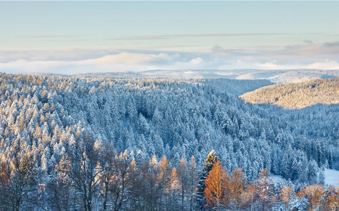 Ausblick auf den Schwarzland