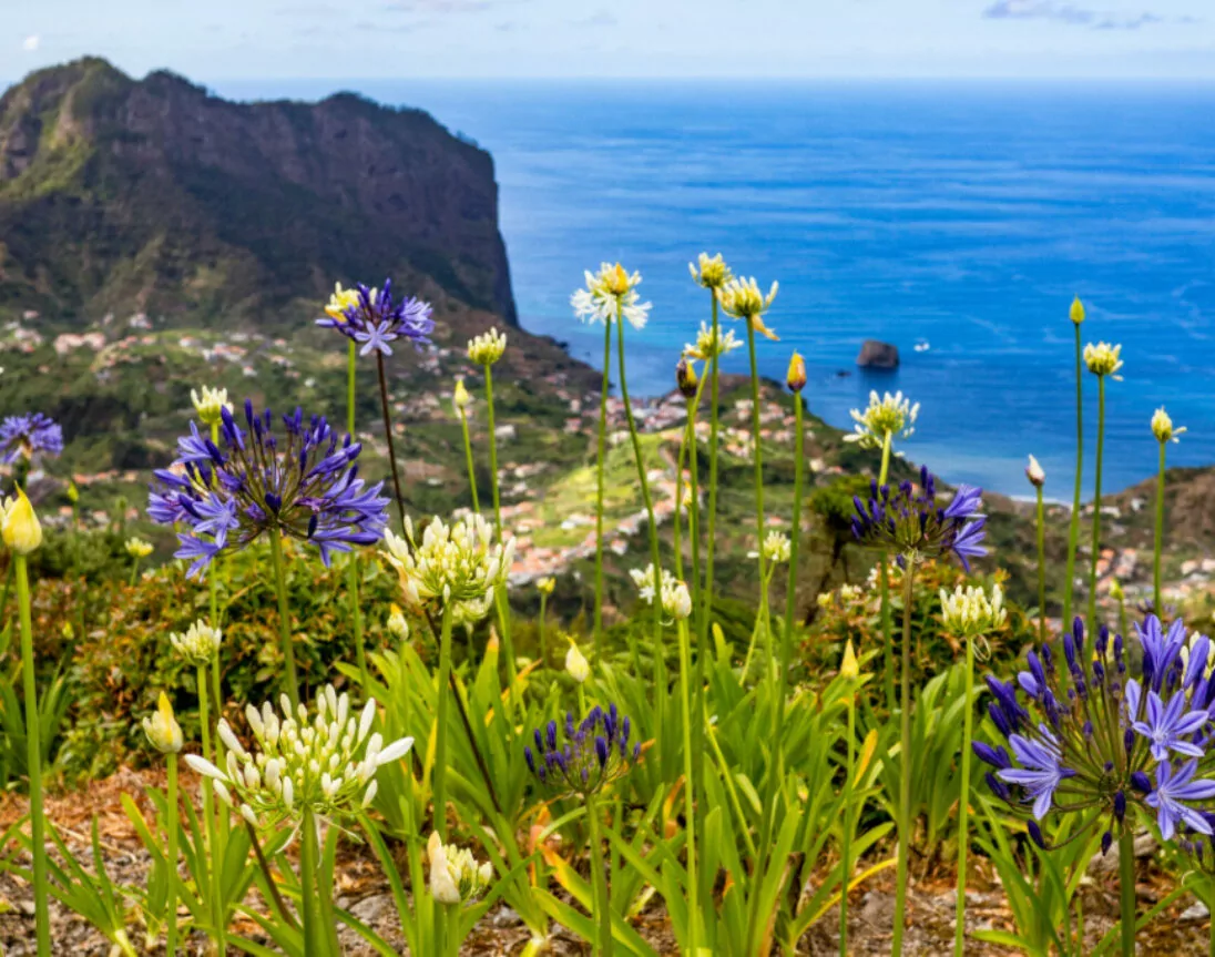 Madeira, die Blumeninsel