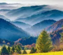 Ausblick über den Schwarzwald