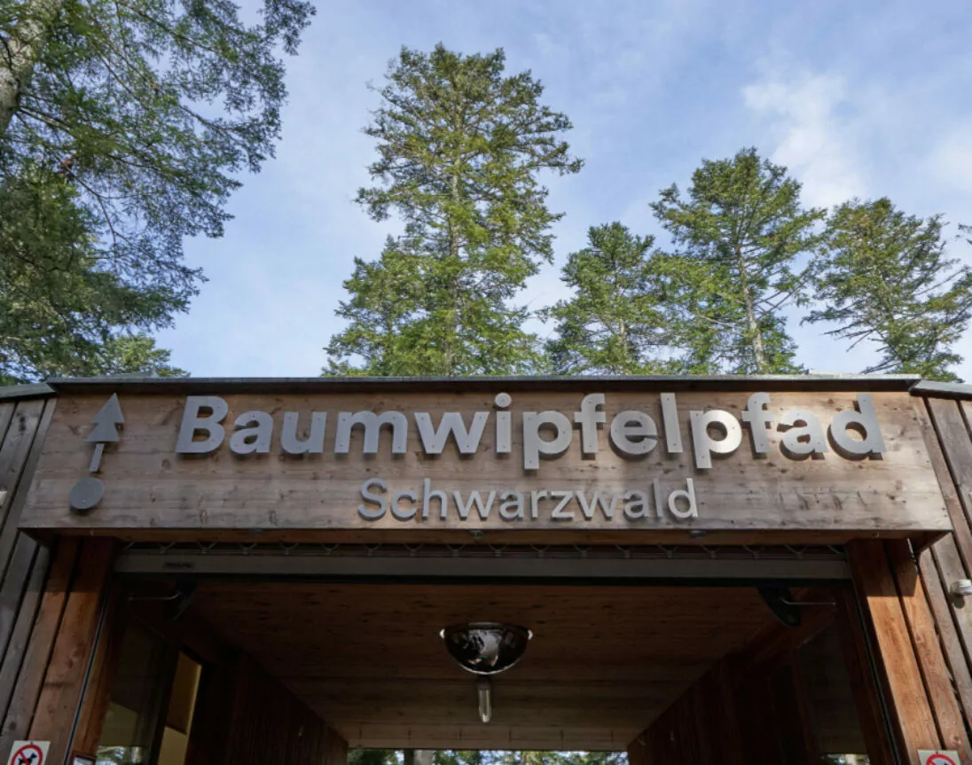 Baumwipfelpfad Schwarzwald