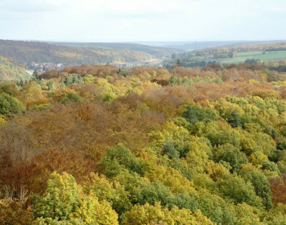 Blick über den Steigerwald