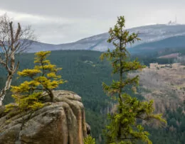 Ausblick auf den Brocken