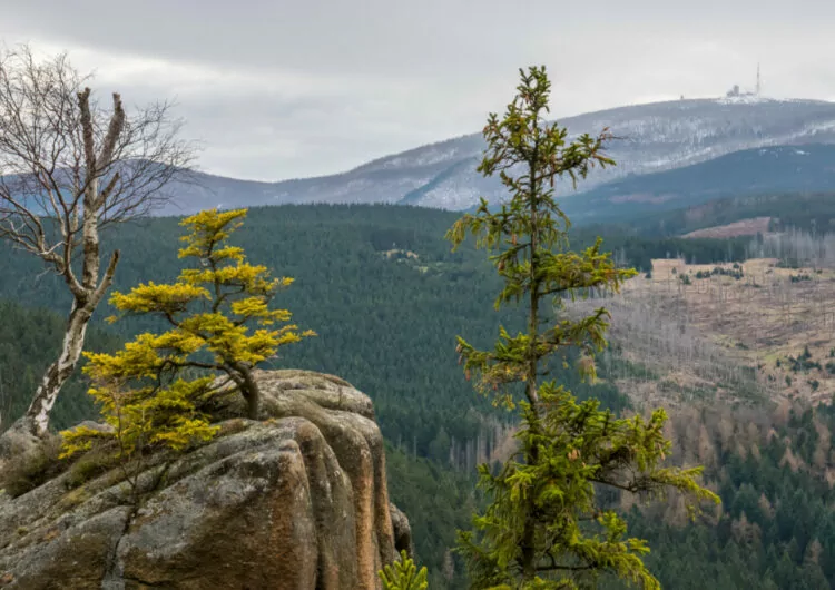 Ausblick auf den Brocken