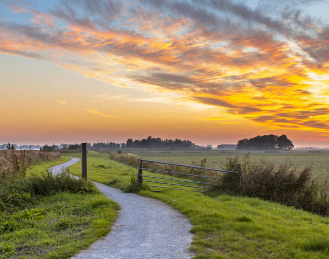 Radweg im Grünen