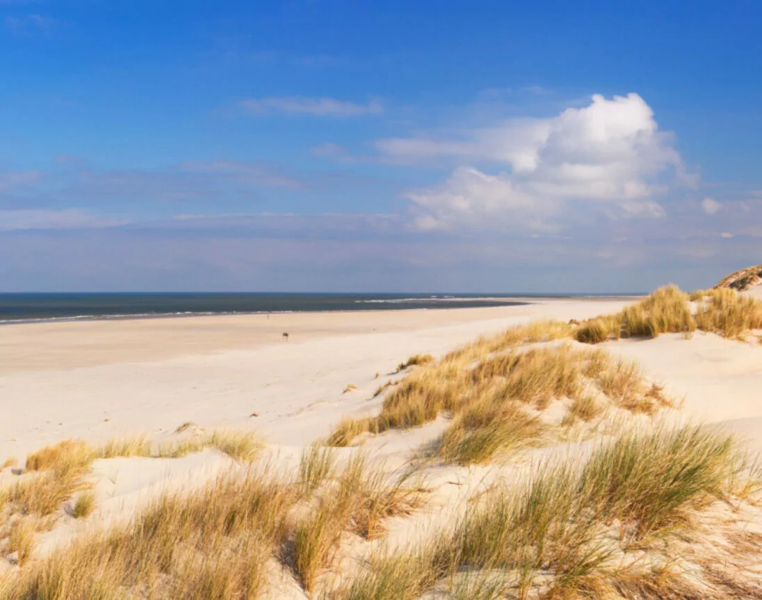 Feiner Sandstrand in Terschelling