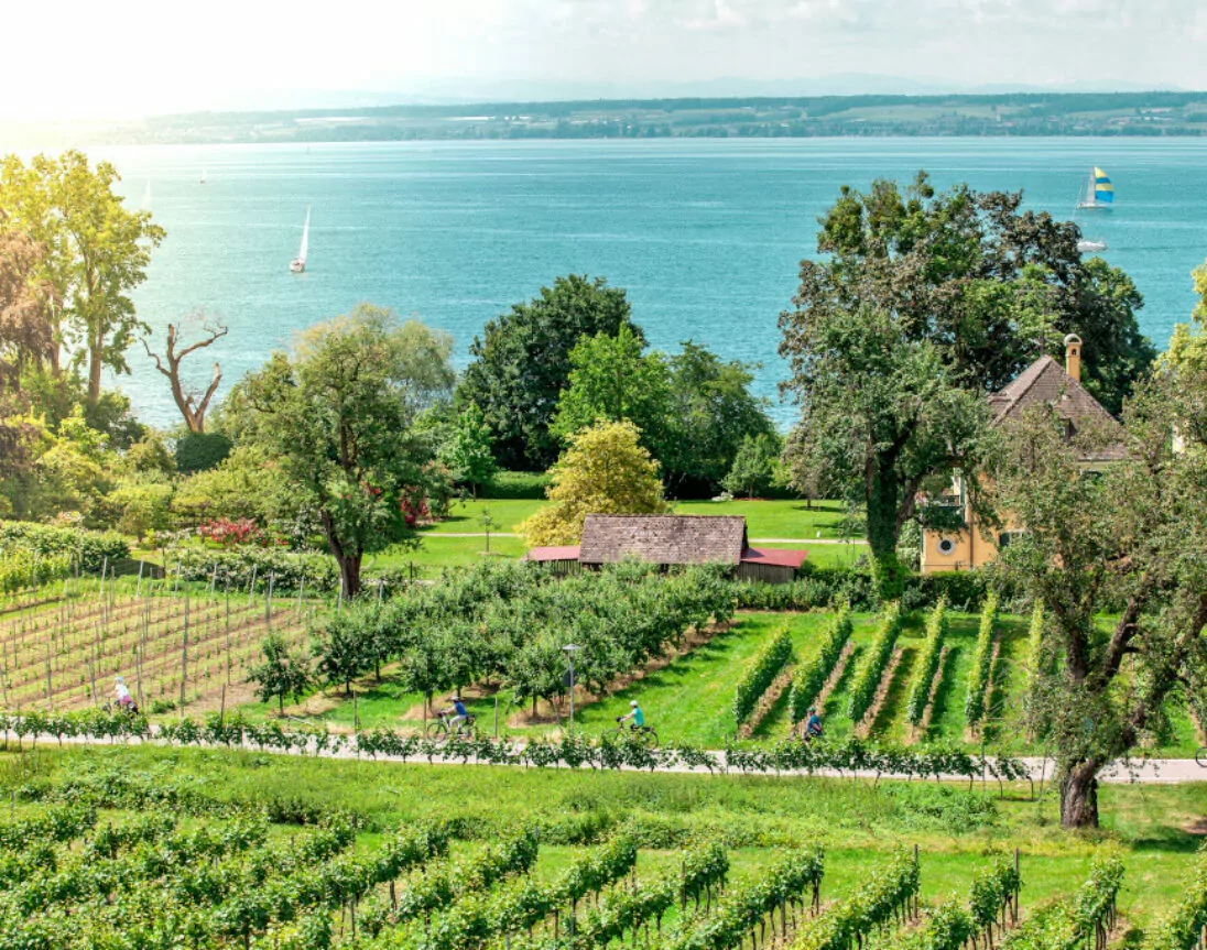 Obstgärten am Bodensee