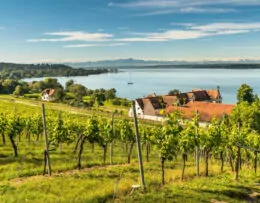 Panoramasicht auf den Bodensee