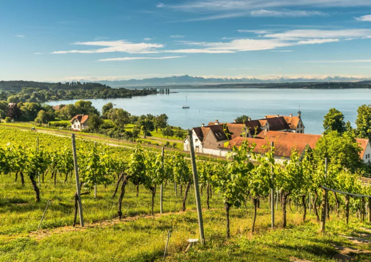 Panoramasicht auf den Bodensee