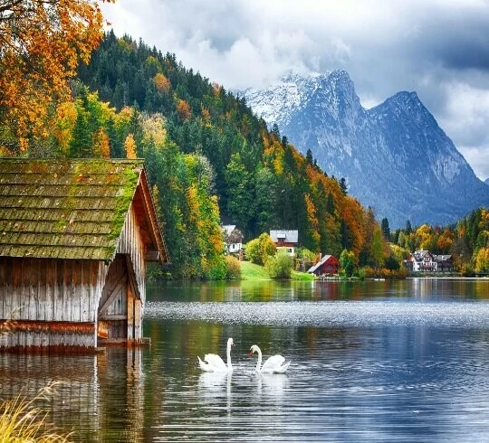 Ferienhäuser Österreich