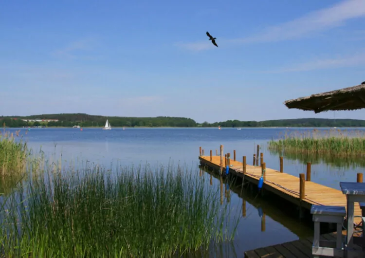 Steg am See in der Mecklenburgischen Seenplatte
