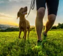 Wanderurlaub mit Hund