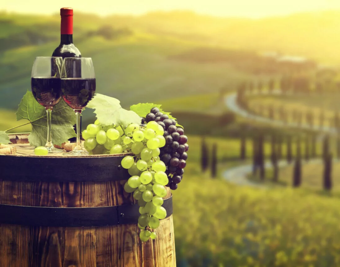 Rotwein in den Weinbergen genießen