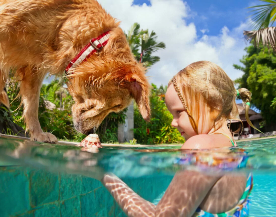 Kind mit Hund im Pool