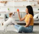 Spielen mit Hund in der Ferienwohnung